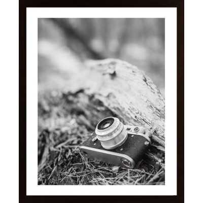 Camera In Black And White Poster