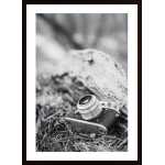 Camera In Black And White Poster