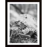 Camera In Black And White Poster