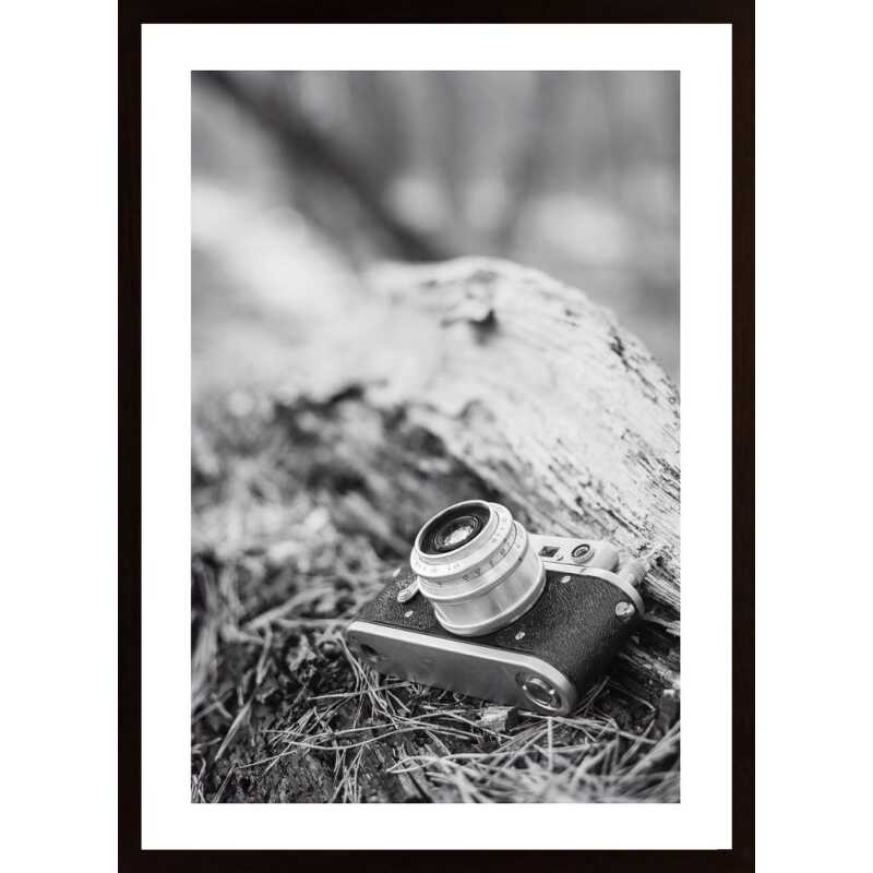 Camera In Black And White Poster