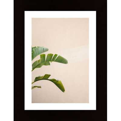 Cannes Banana Plant Poster
