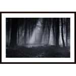 Capela Forest Poster
