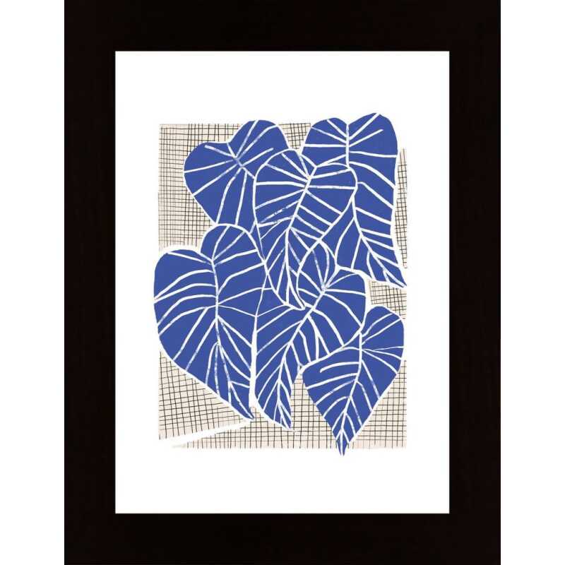 Cascino - Alocasias Poster