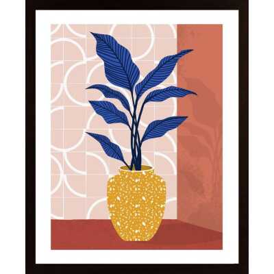 Cascino - Dracena Poster