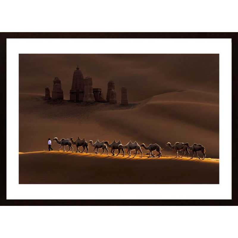 Castle And Camels Poster