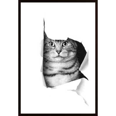 Cat Through Paper Poster