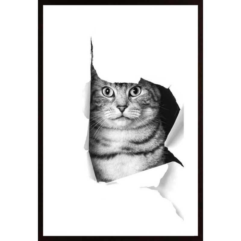 Cat Through Paper Poster