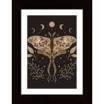 Celestial Luna Moth Poster