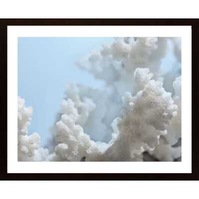 Coral Poster