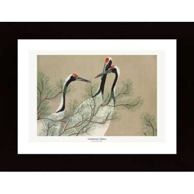 Cranes From Momoyogusa Poster
