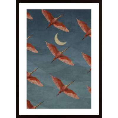 Cranes On Sky Poster