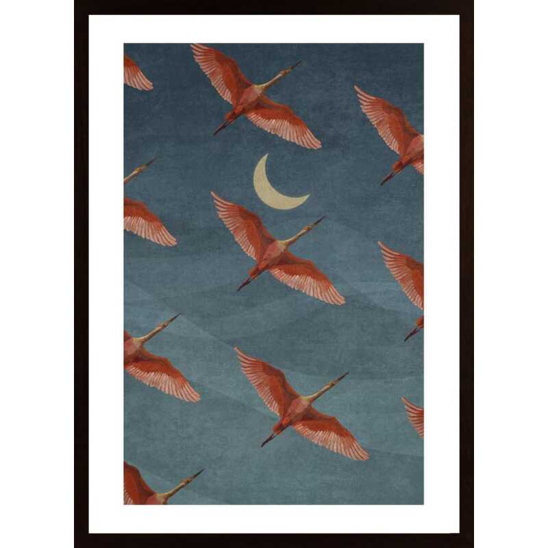 Cranes On Sky Poster