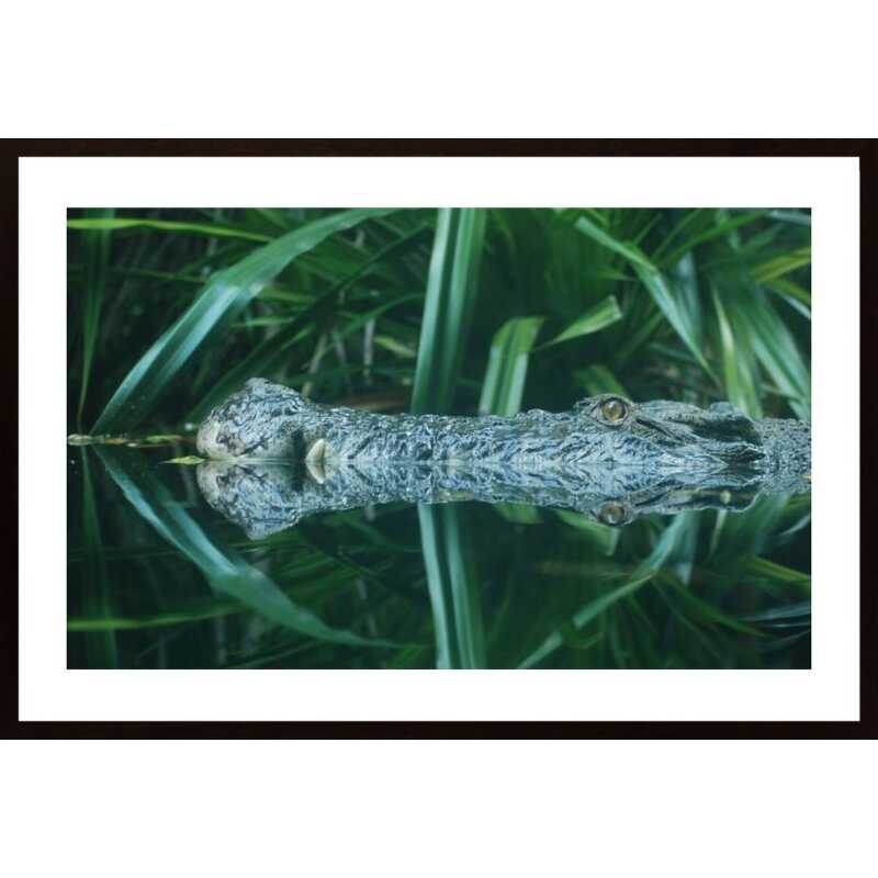 Crocodile Poster