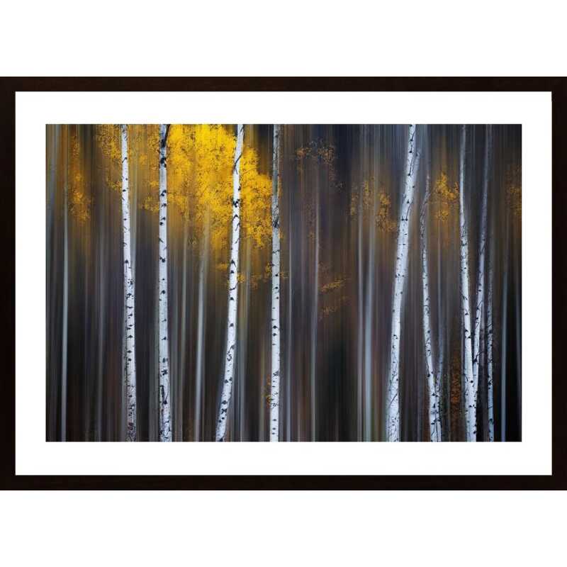 Curtain Of Fall Poster