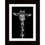 Cute Giraffe Poster