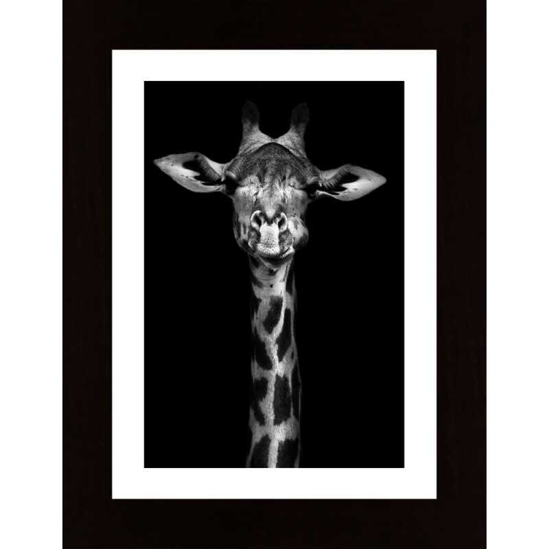 Cute Giraffe Poster
