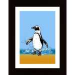 Cute Penguin Splashing Poster