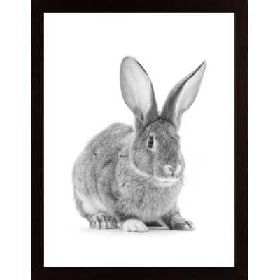 Cute Rabbit Poster