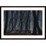 Dancing Trees Poster
