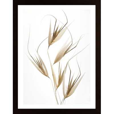 Delicacy Of Nature Poster