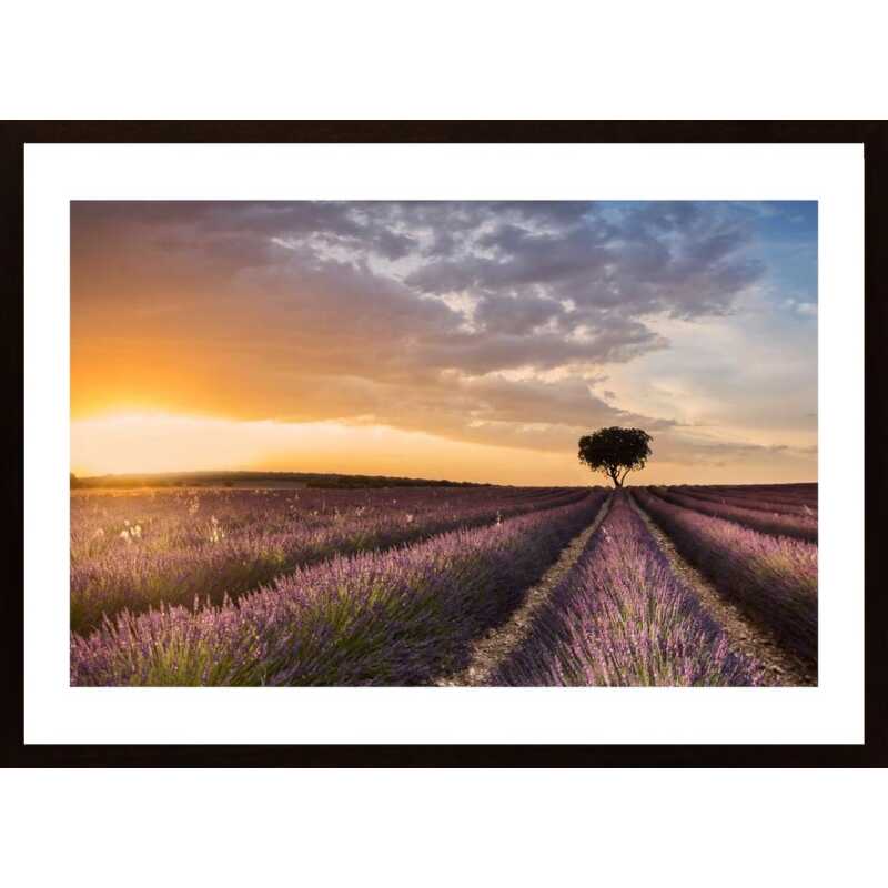 Destination Lavender Poster