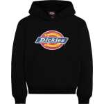 Dickies Youth Logo Hoodie Knit Black