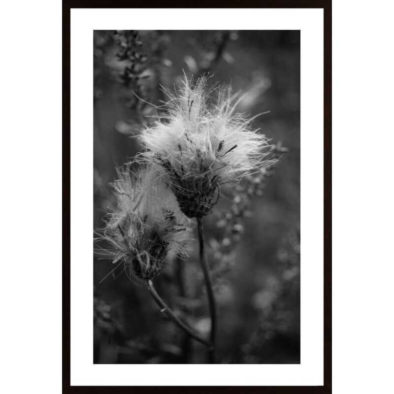 Disheveled Poster