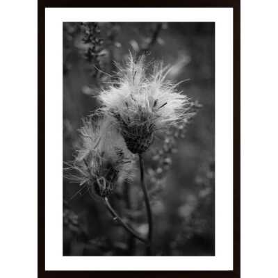 Disheveled Poster