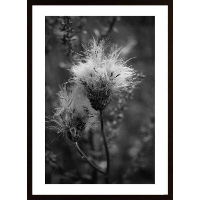 Disheveled Poster