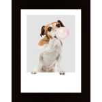 Dog Chewing Bubble Gum Poster