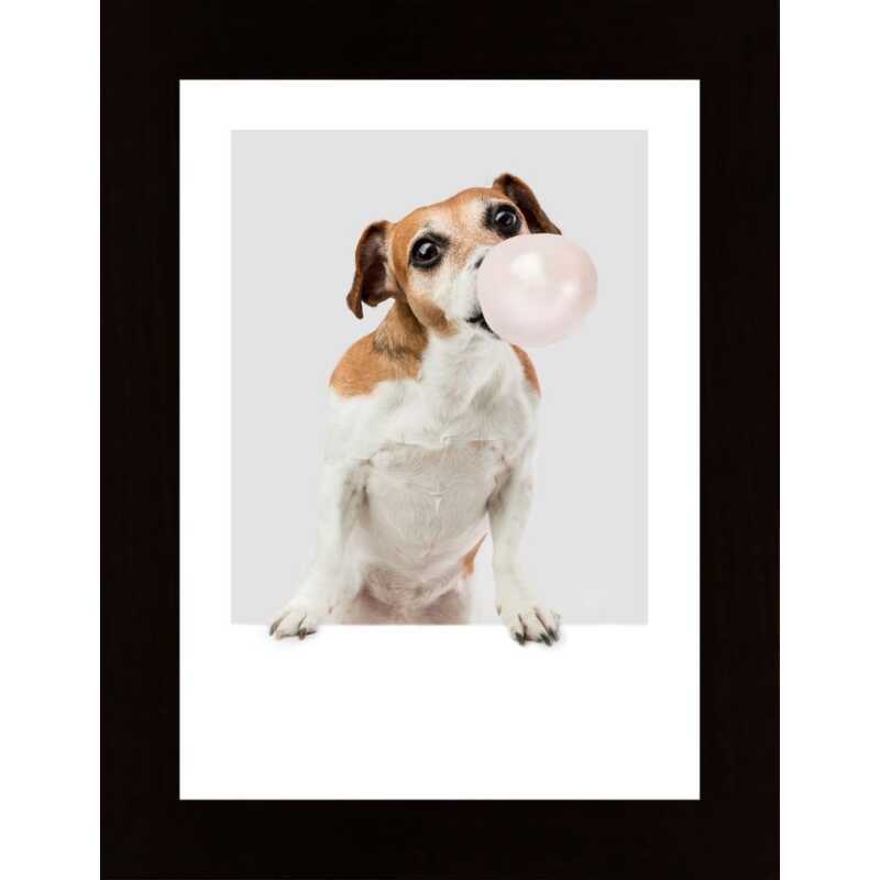 Dog Chewing Bubble Gum Poster