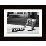 Dogs Just Want To Have Fun Poster