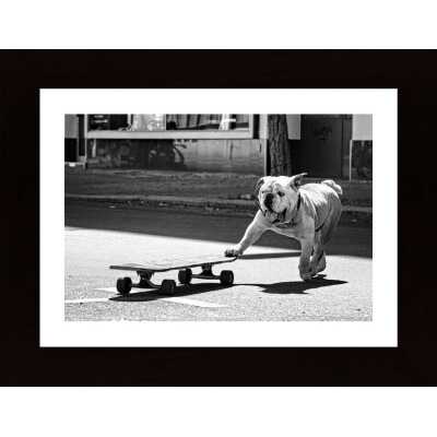 Dogs Just Want To Have Fun Poster
