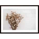 Dried Flowers 2 Poster