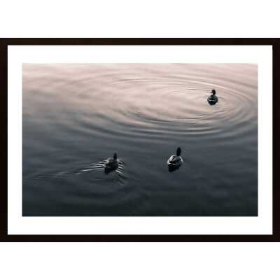 Ducks Poster