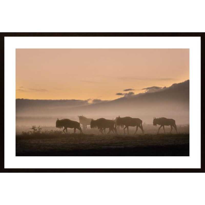 Early Morning In Serengeti Poster
