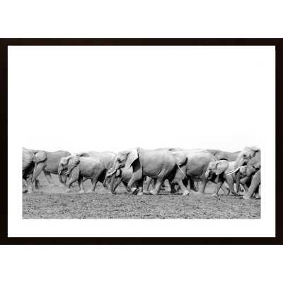 Elephant Family Poster