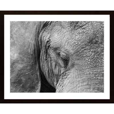 Elephant Poster