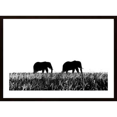 Elephants Couple Poster