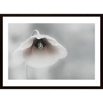 Ephemeral Beauty Poster