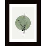 Eucalyptus And Green Moon Poster