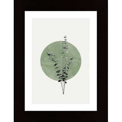 Eucalyptus And Green Moon Poster