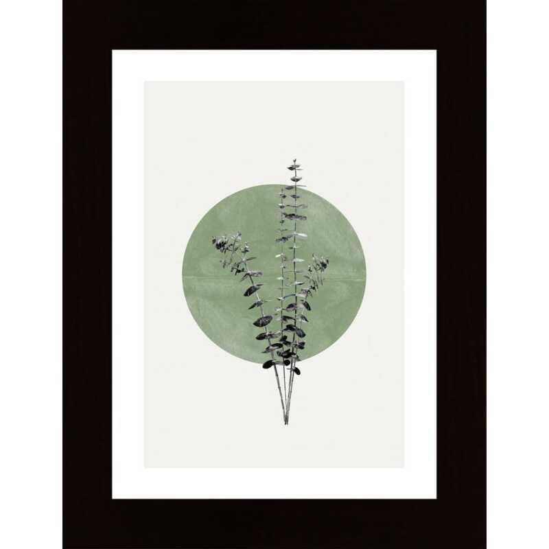 Eucalyptus And Green Moon Poster