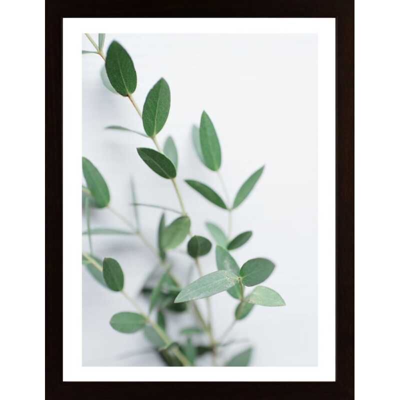Eucalyptus On A Light Wooden Poster