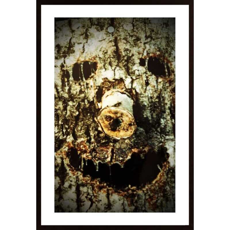 Faces Of Nature Poster