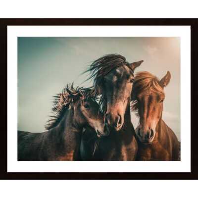 Family Portrait Poster