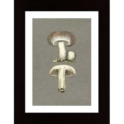 Field Mushroom Poster