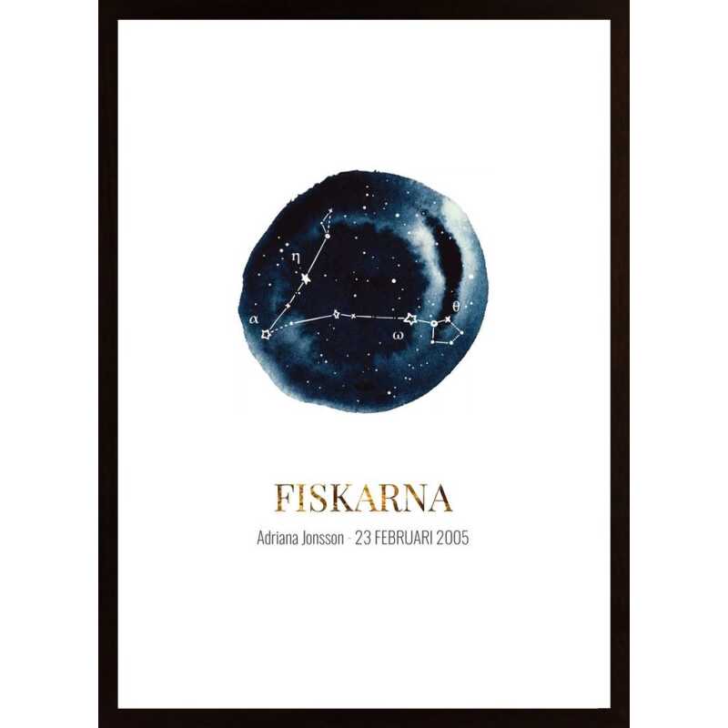 Fiskarna (Egen Text) Poster
