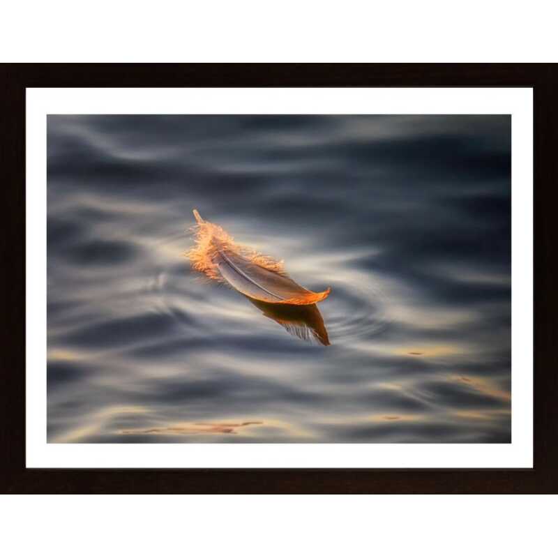 Floating Poster