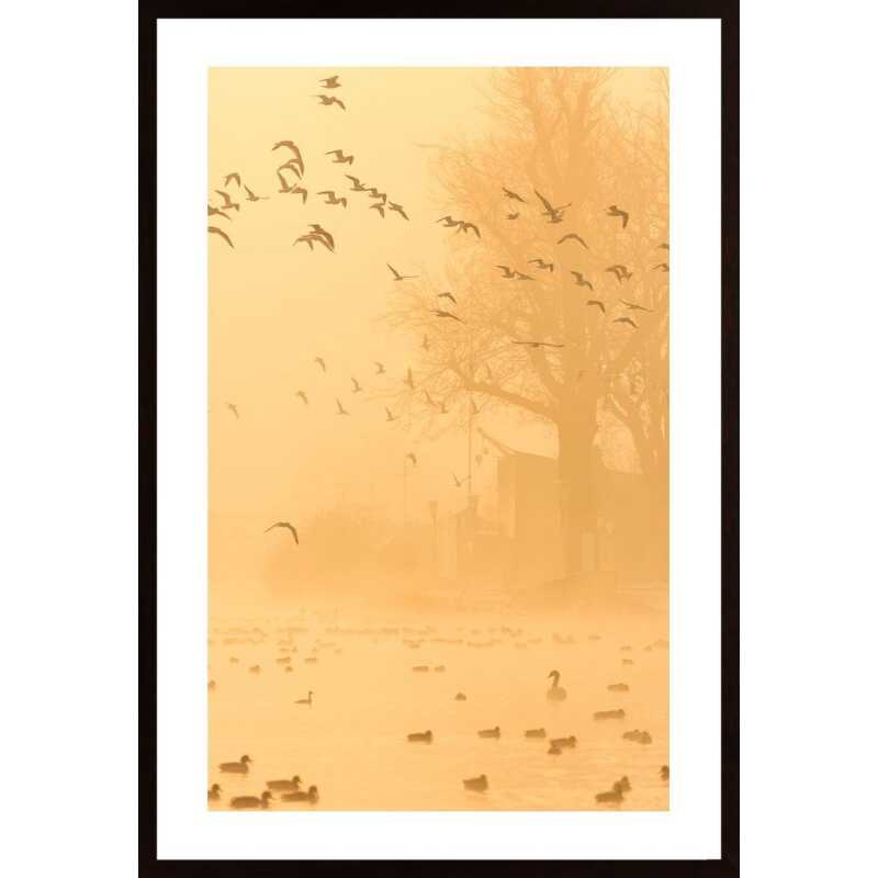Flock Of Gulls Poster